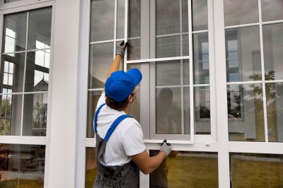 Professional Window Repair